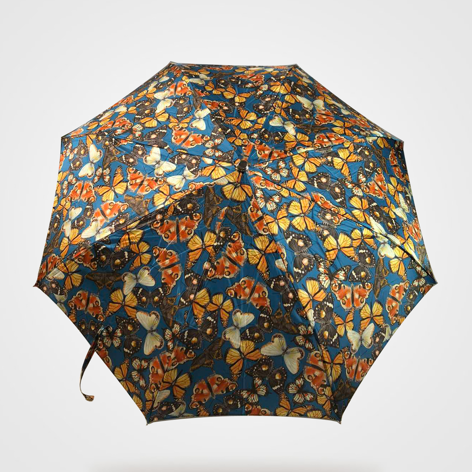 Umbrella