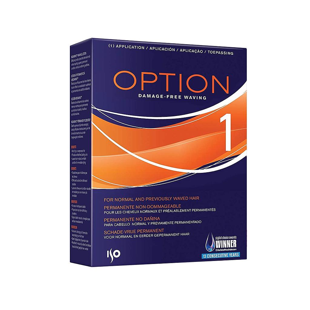PERM. Option - 1
