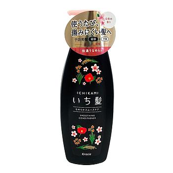 Ichikami Smoothing Conditioner Pump 480g